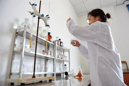 蛻變之路 從復合包裝廢棄物資源化工廠到城市環境綜合服務運營商——專訪張婷